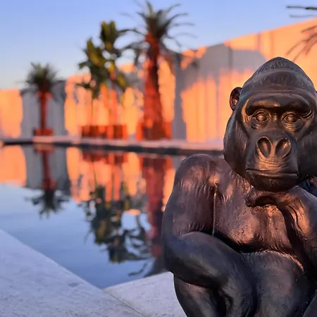 Prázdninový dům Piaskowa11 Palm & Wellness