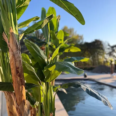 Holiday home Piaskowa11 Palm & Wellness *