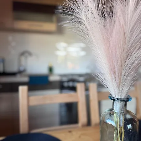 Piaskowa11 Palm & Wellness