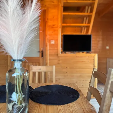 Feriehus Piaskowa11 Palm & Wellness - Basen, Jacuzzi, Balia, Sauna, Egzotyczne Papugi Ara Łeba