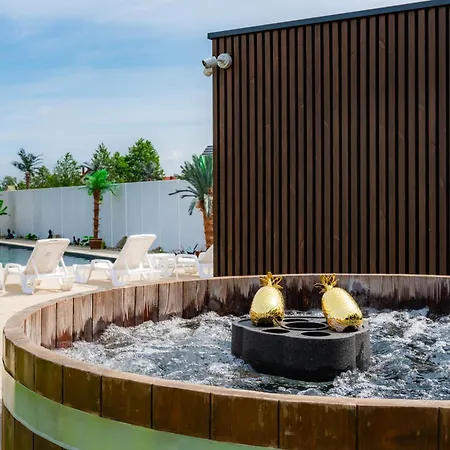 Piaskowa11 Palm & Wellness - Basen, Jacuzzi, Balia, Sauna, Egzotyczne Papugi Ara Łeba
